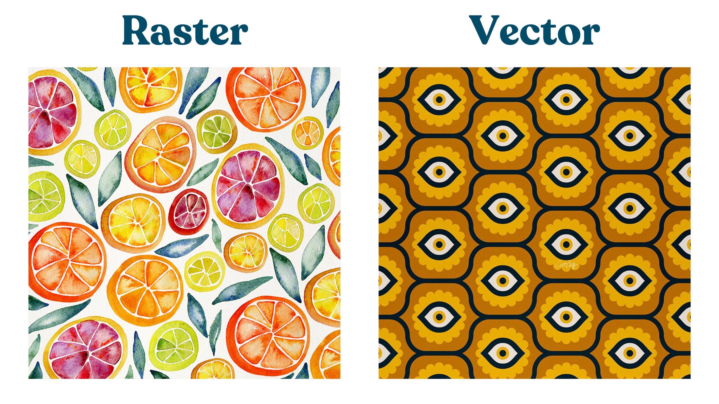 Vector+Gif Vector+Gif